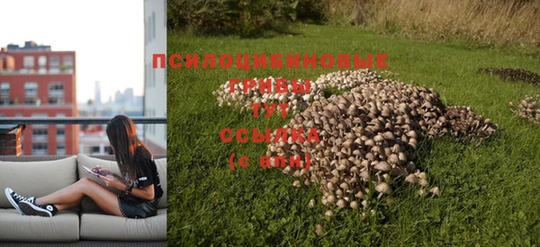 не бодяженный Абдулино
