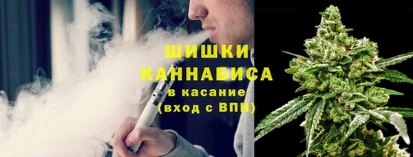 PSILOCYBIN Алексеевка
