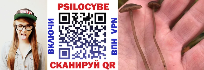 Псилоцибиновые грибы мухоморы  МЕГА сайт  Яровое 