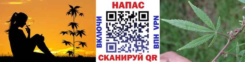 Марихуана конопля  закладка  Яровое 